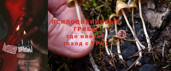 apvp Беломорск