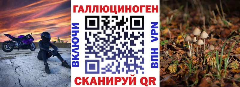 Галлюциногенные грибы Cubensis  Славгород 