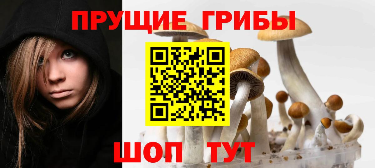 Галлюциногенные грибы прущие грибы  Вход с VPN  Славгород 