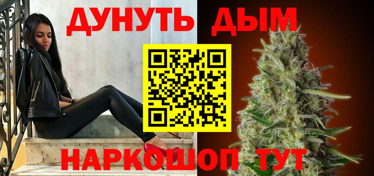 Бошки Шишки планчик Славгород